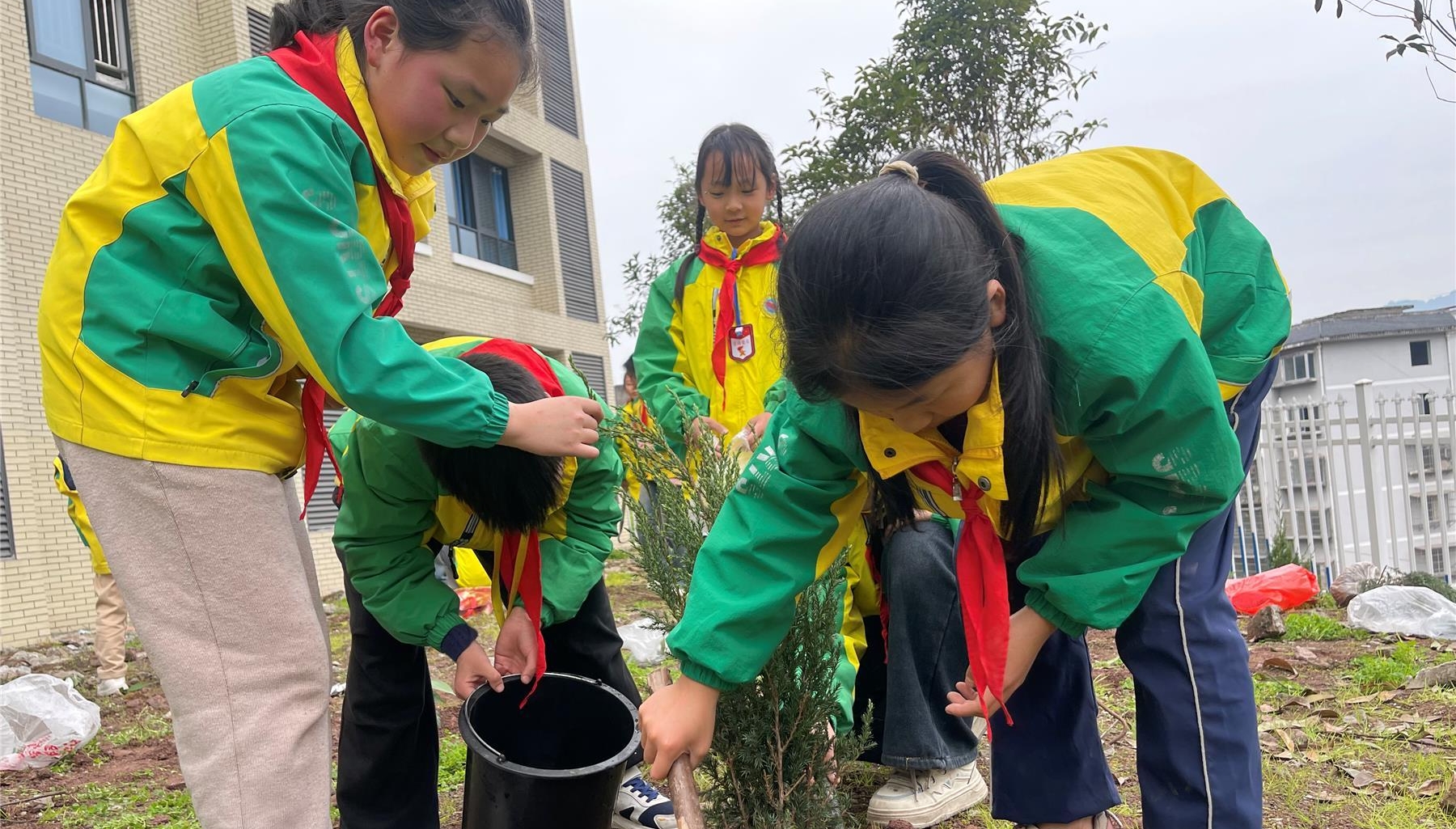  高陽小學(xué)開展植樹節(jié)實(shí)踐活動