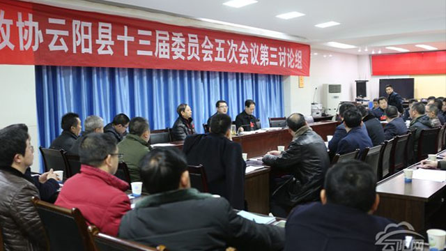 覃昌德等縣領(lǐng)導參加政協(xié)會分組討論圍繞中心建言獻策